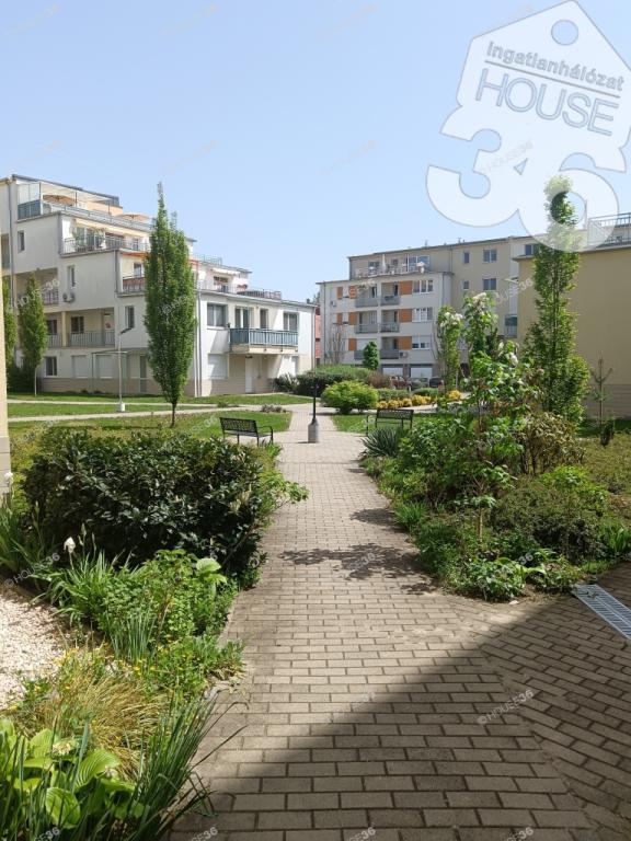 Kiadó lakás Kecskemét