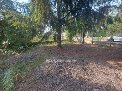 Eladó családi ház Debrecen