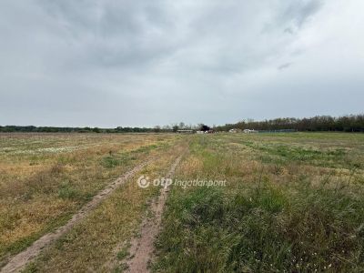 Eladó általános mezőgazdasági ingatlan Debrecen