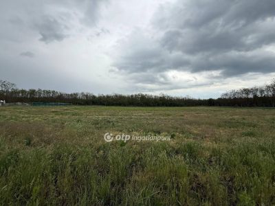 Eladó általános mezőgazdasági ingatlan Debrecen