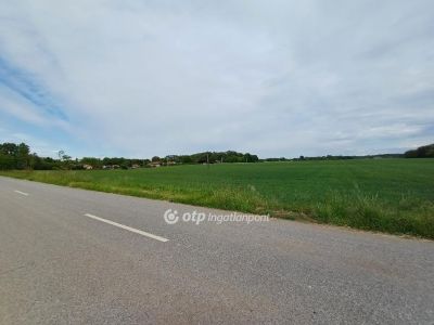 Eladó külterületi telek Nyíregyháza