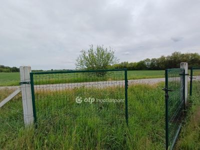 Eladó külterületi telek Nyíregyháza