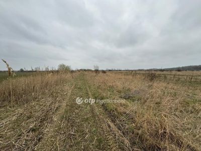Eladó üdülőövezeti telek Kisköre