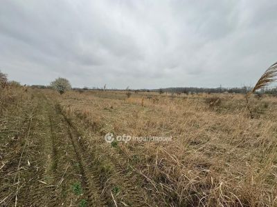 Eladó üdülőövezeti telek Kisköre
