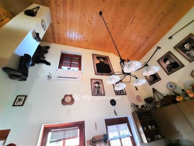 Eladó szálloda, hotel, panzió Szentes
