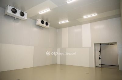 Eladó egyéb ipari ingatlan Püspökladány