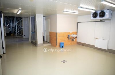 Eladó egyéb ipari ingatlan Püspökladány