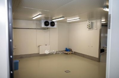 Eladó egyéb ipari ingatlan Püspökladány