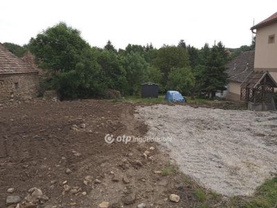 Eladó lakóövezeti telek Városlőd