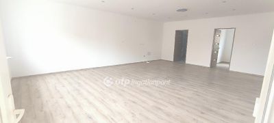 Eladó családi ház Csanytelek